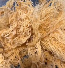Load image into Gallery viewer, Raw Sea Moss
