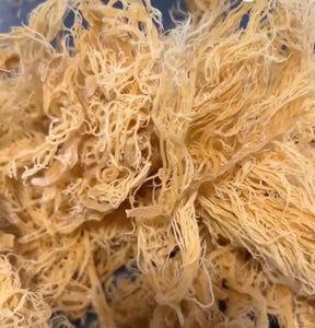 Raw Sea Moss